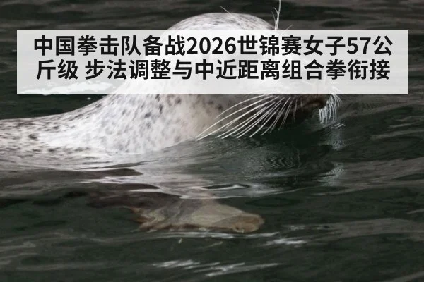 中国拳击队备战2026世锦赛女子57公斤级 步法调整与中近距离组合拳衔接